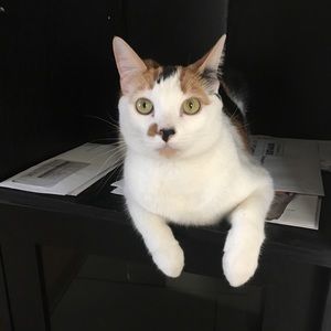 Meet your Posher, Aubrey